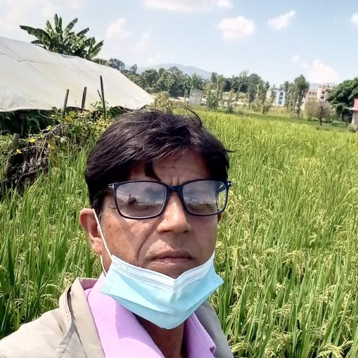 भगवान दाहाल