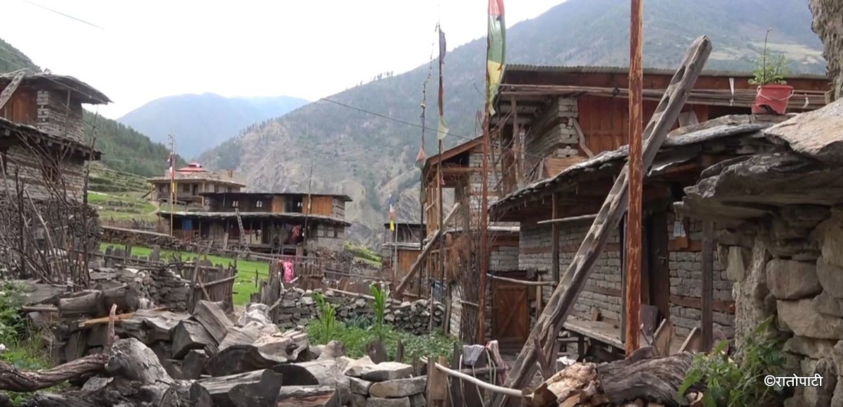 स्थानीय यार्सागुम्बा टिप्न गएपछि विद्यालय बन्द, गाउँ सुनसान (तस्बिरहरू)