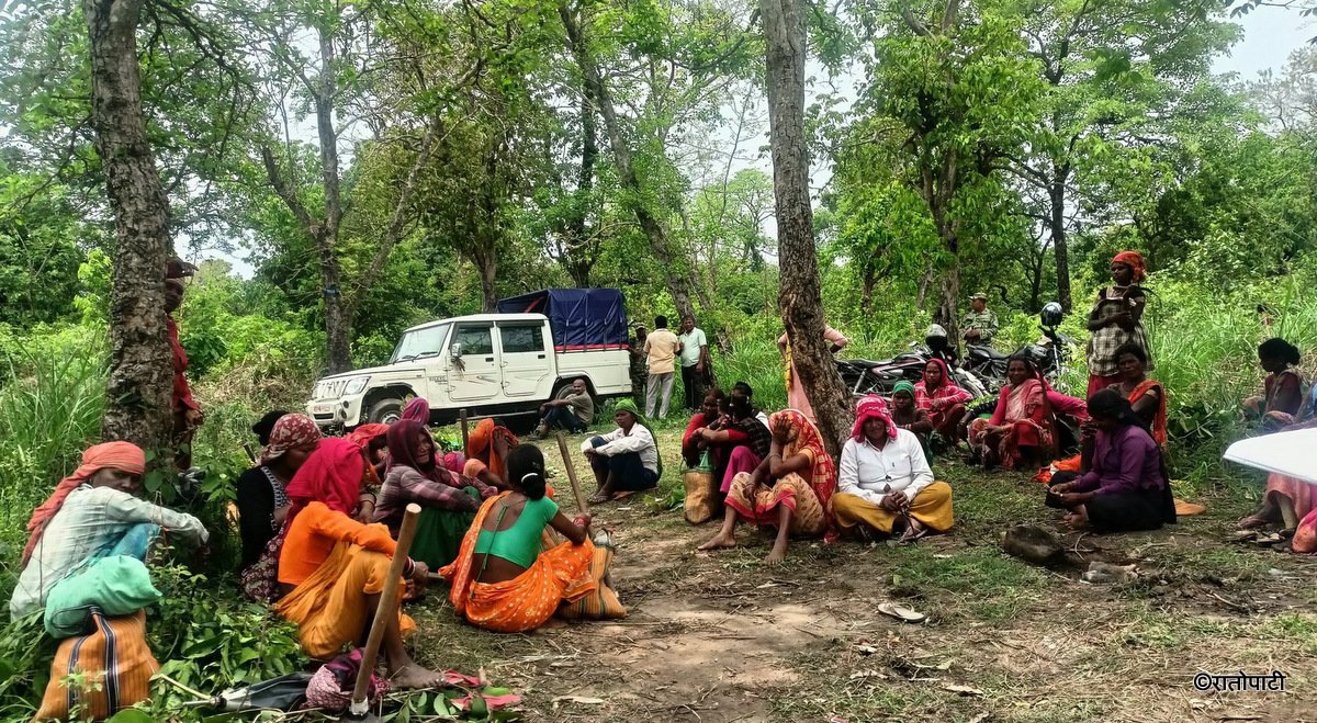 साझेदारी वनमा चरम बेथिति, उपभोक्ता निराश