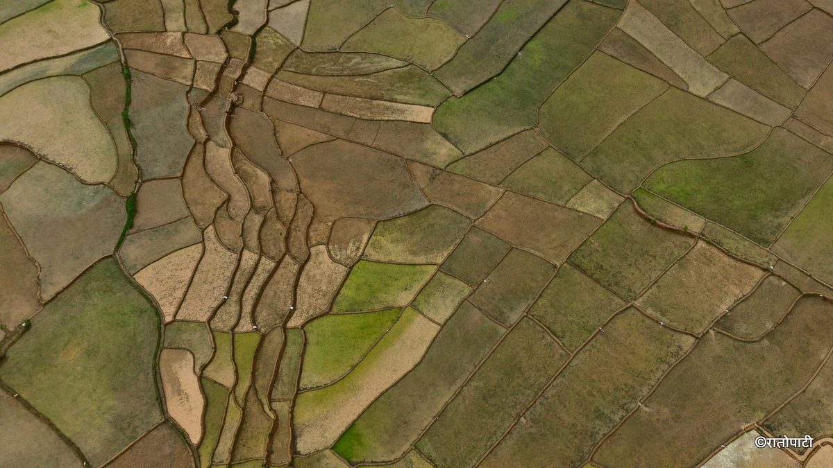 01-Nuwakot Dhading Gagate_Rice field_NPL10