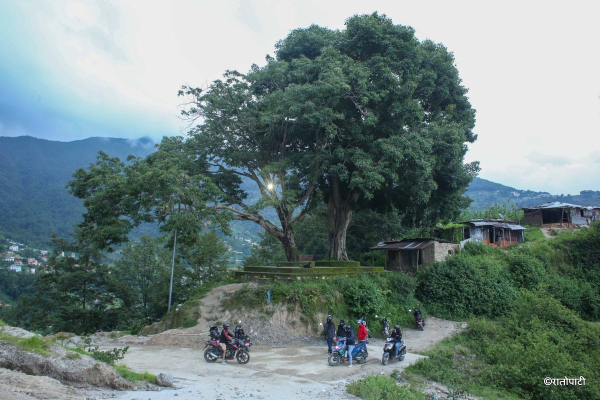 01-Village_NPL_-774