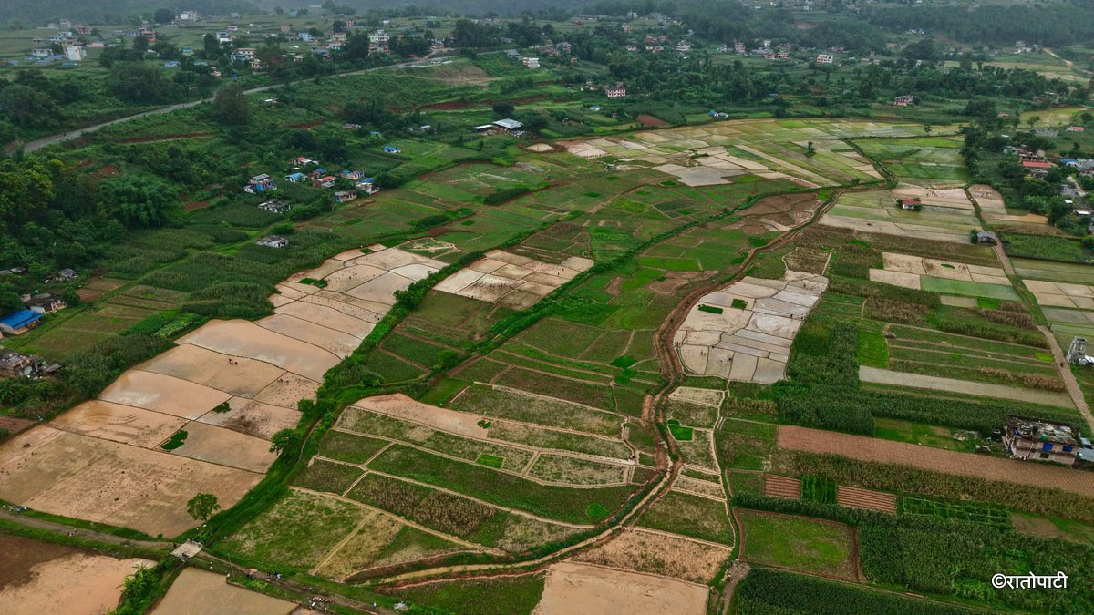 02-Nuwakot Dhading Gagate_Rice field_NPL11