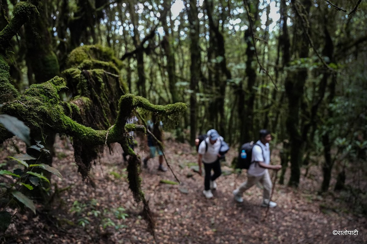 03-Ghopteghyang to Thorepati_Hiking_NPL PCT_ (8)