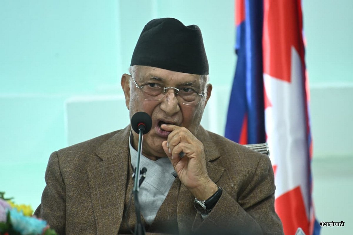 03-kp oli (3)