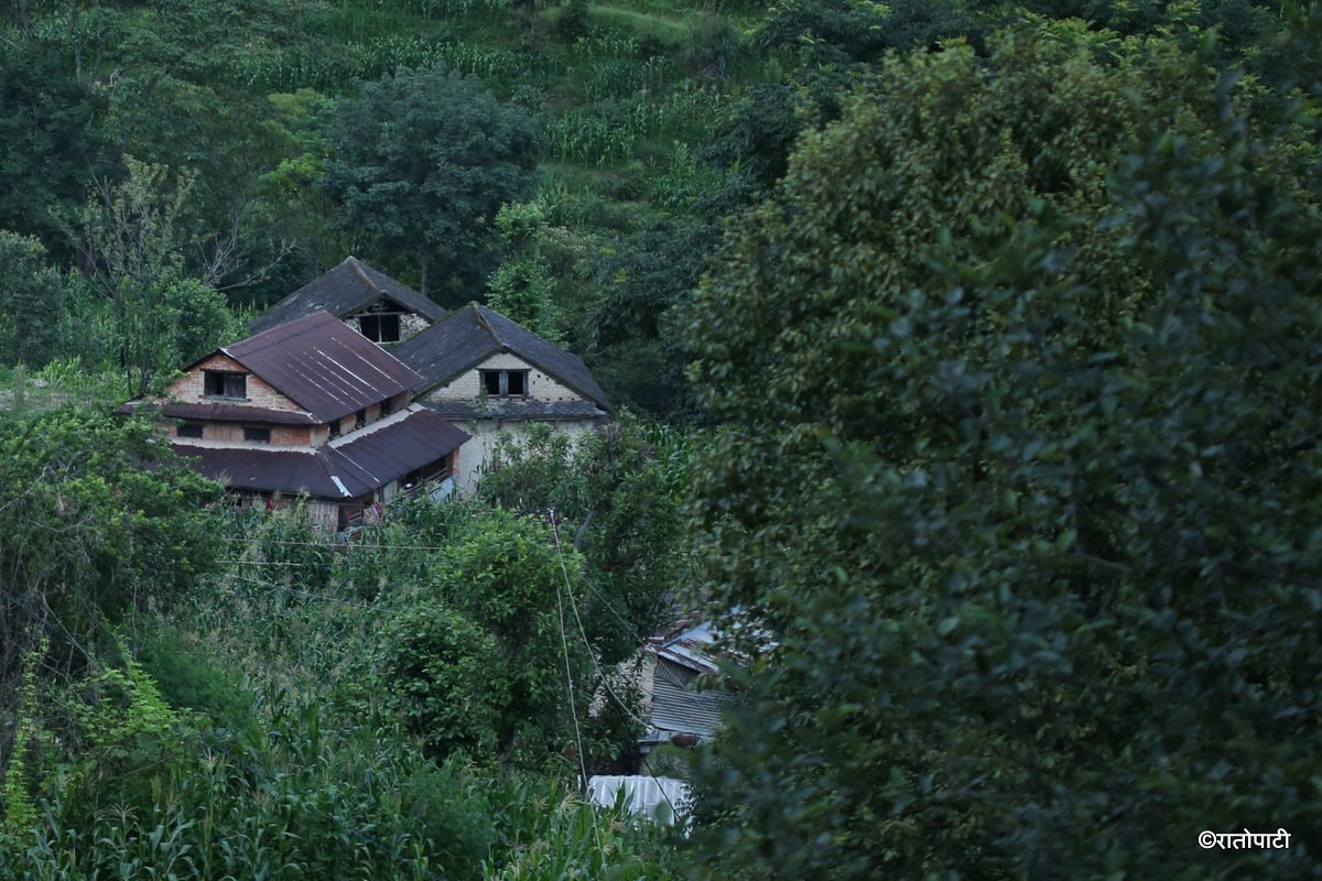 03-Village_NPL_ (1)