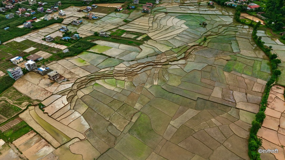 04-Nuwakot Dhading Gagate_Rice field_NPL13