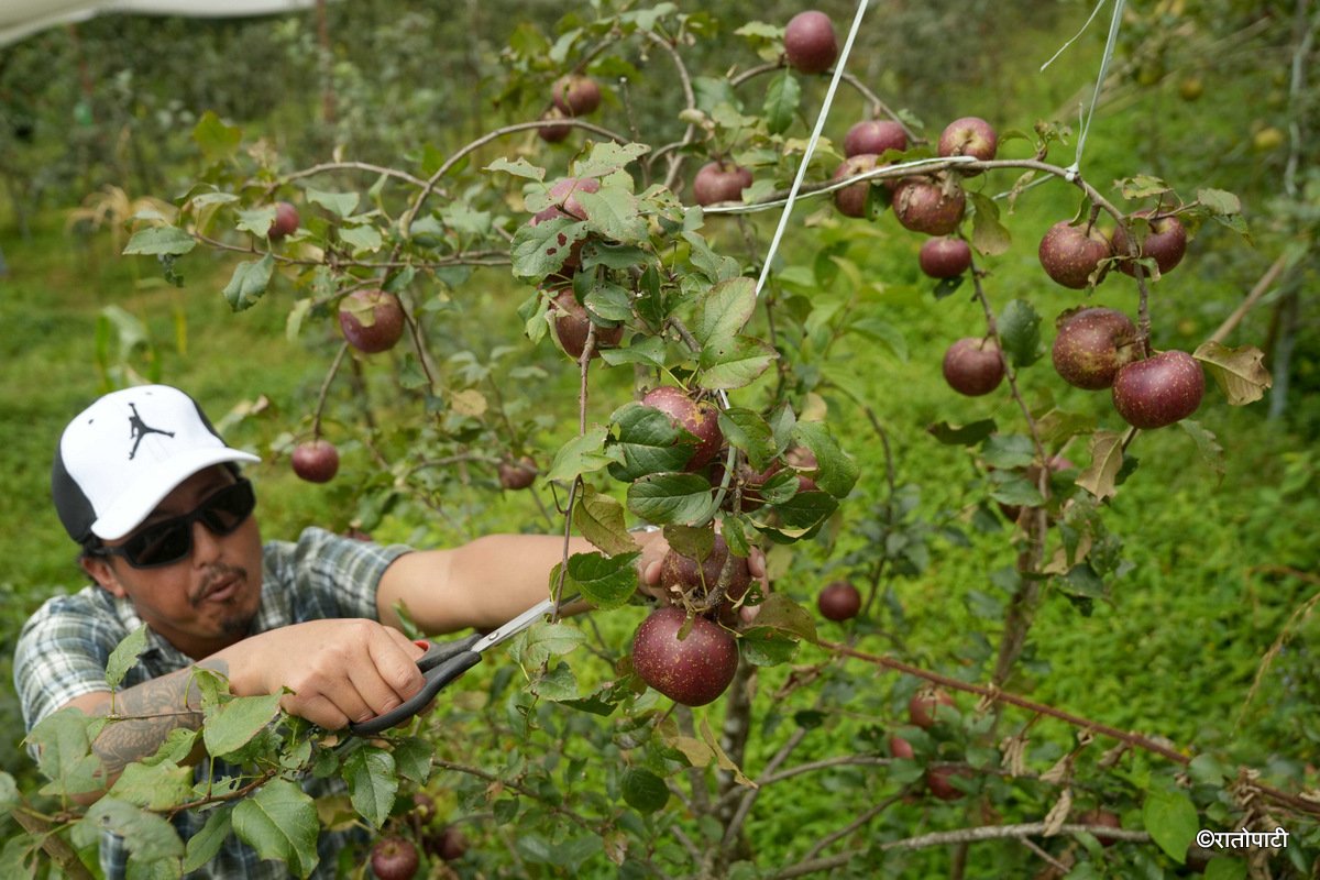 04-Syau Farm_DSC08399