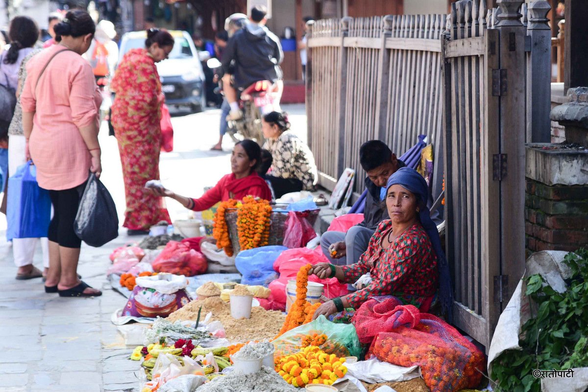 घटस्थापनाका लागि जमरा राख्ने सर्दाम बिक्री, तस्बिरहरू