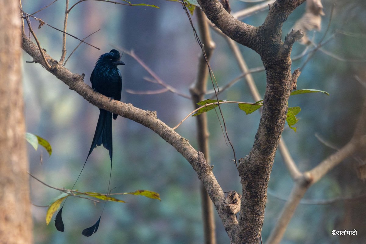 06-Wild Life_Hetauda_-956