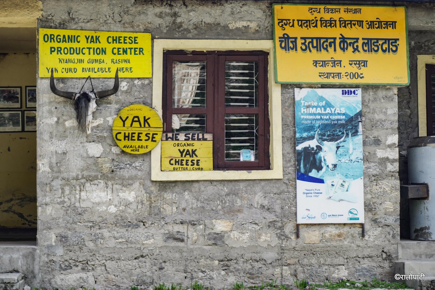 09-Yak Cheese Langtang_-1838
