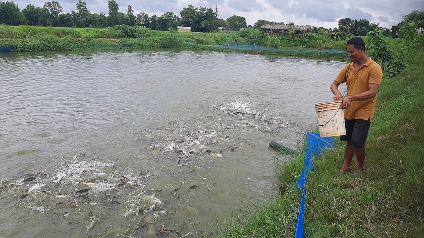   अवैध रूपमा भित्रिने माछाका कारण किसान समस्यामा