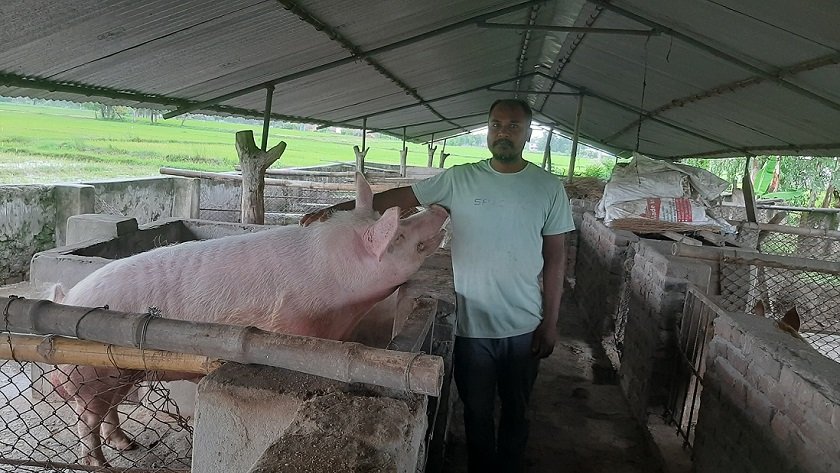   बङ्गुरका पाठापाठी बेचेर वार्षिक बाह्र लाख आम्दानी