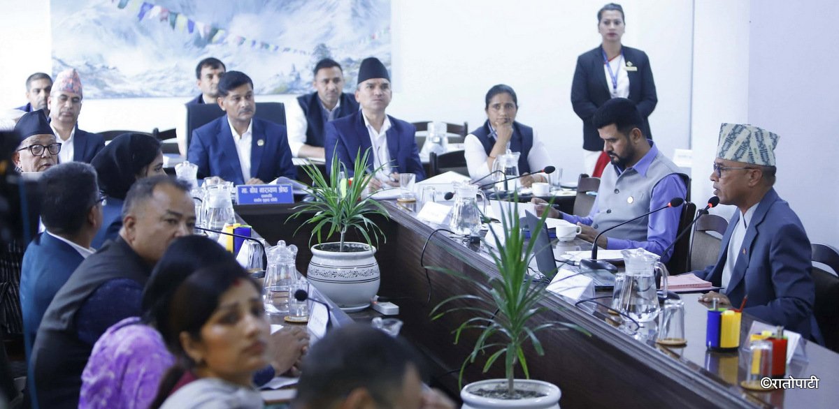 Proposed Election Commissioner Presents 5 Models for Overseas Nepali Voting