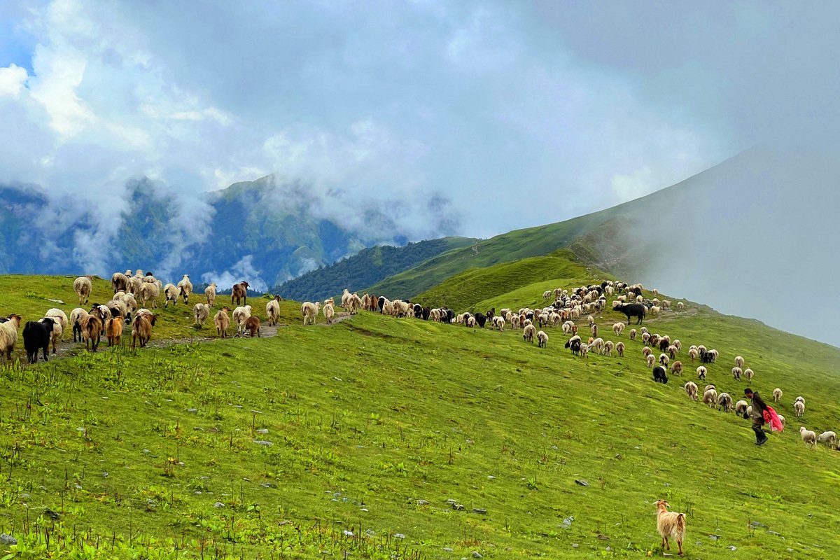   पदयात्राका लागि उत्कृष्ट गन्तव्य बन्दै ‘बुकीपाटन’