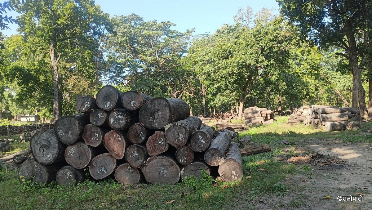 1-k6