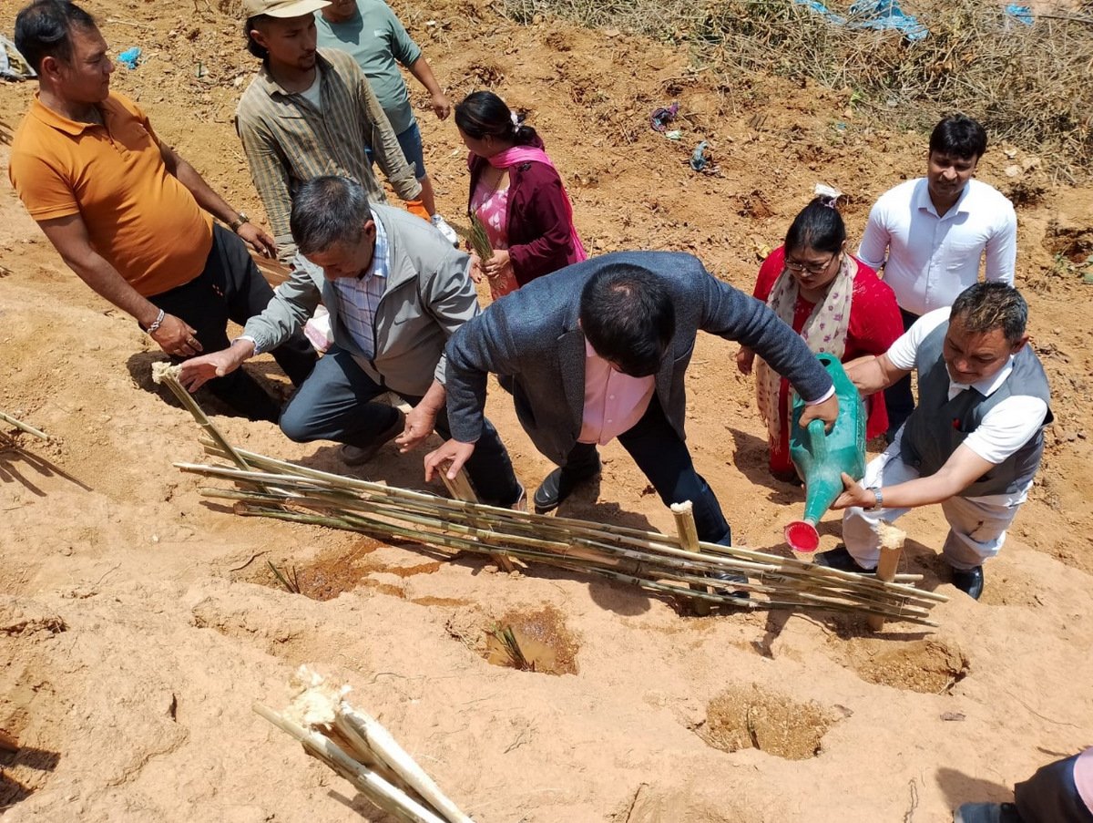 गोदावरीमा जैविक प्रविधिमार्फत पहिरो नियन्त्रण