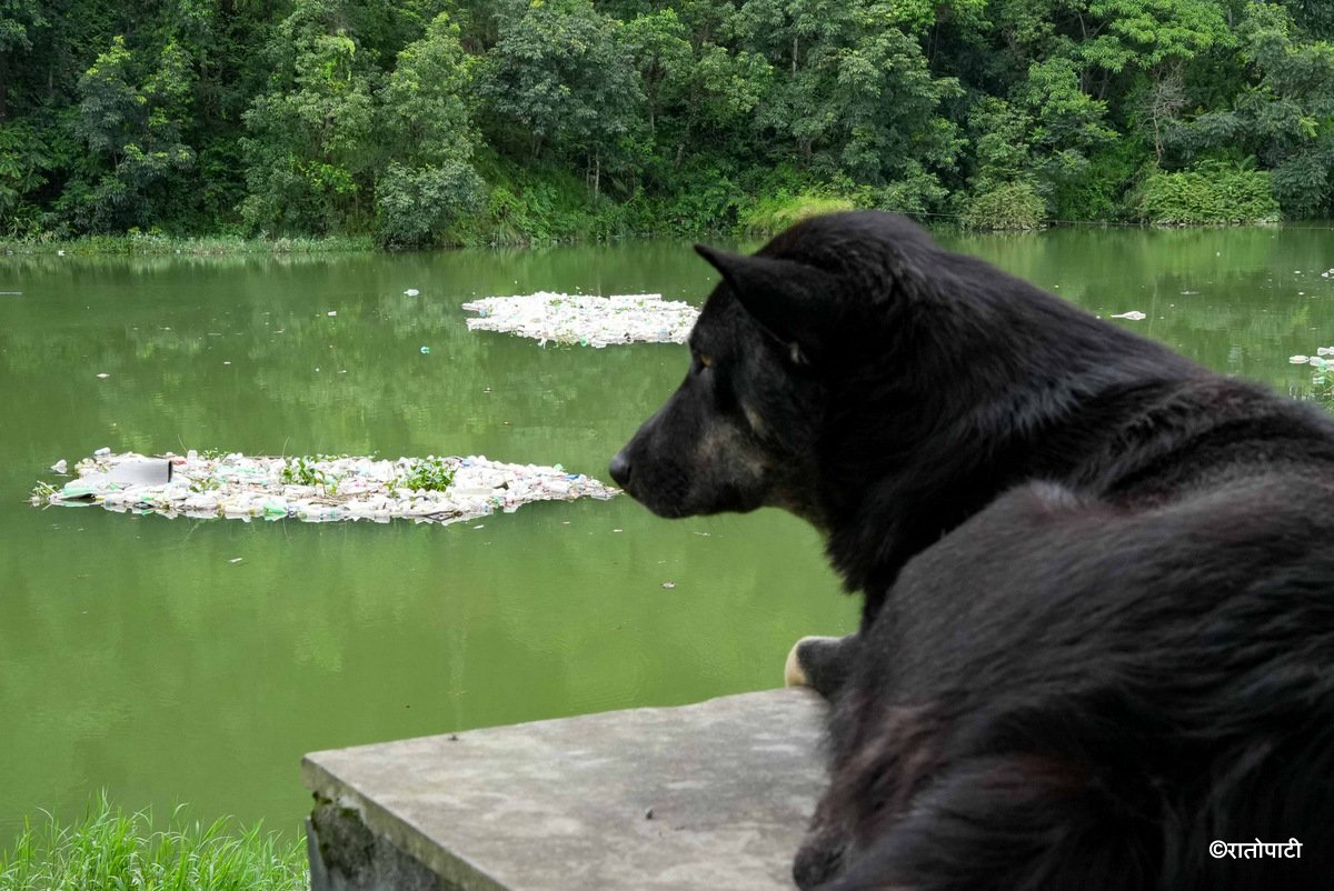10-10 fewa lake fohor