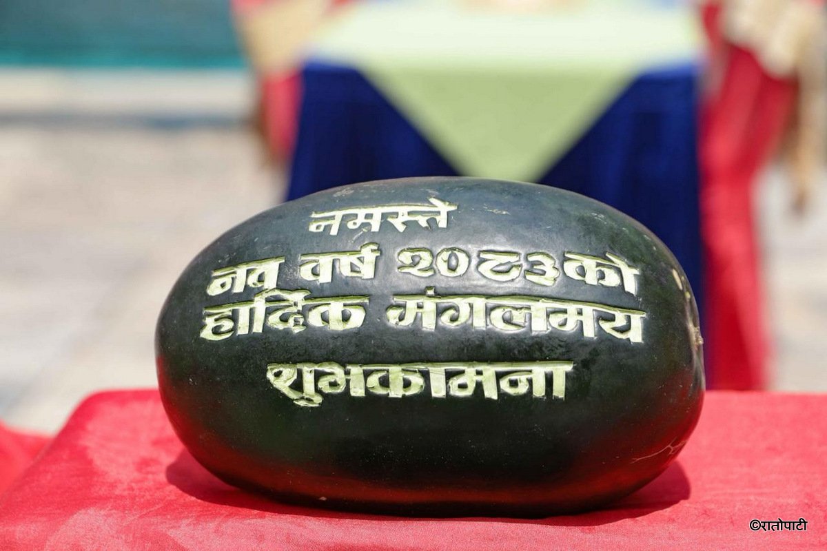10-Fewa Nawabarsa Mahotsav_NPL (10)