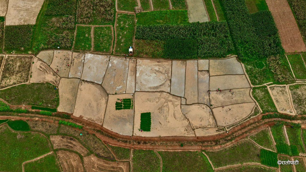 10-Nuwakot Dhading Gagate_Rice field_NPL5