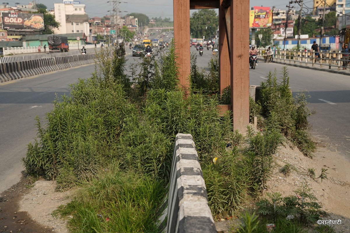 10-Ringroad_Bridge_-1617