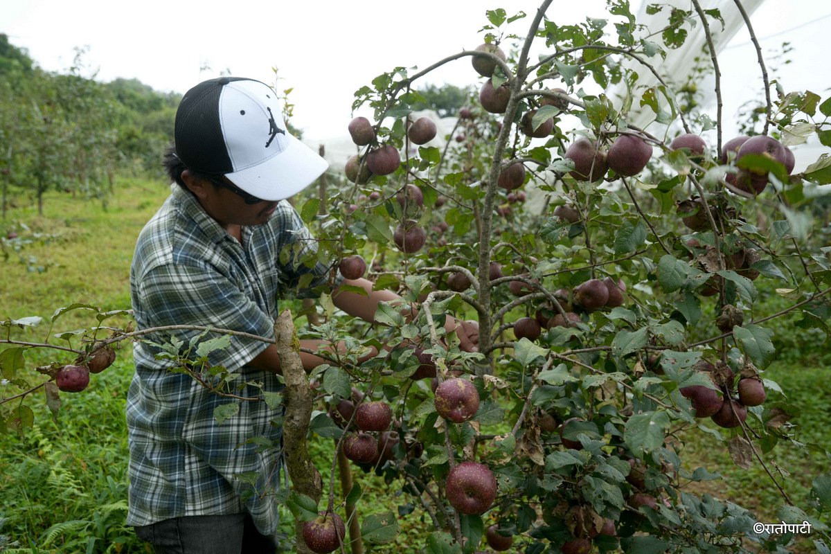 10-Syau Farm_DSC08482