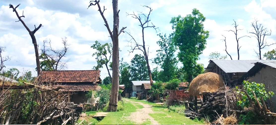 कैलालीमा बाढीको डरले हजारौँ परिवारको वनमा बास, वर्षौँदेखि भएन स्थायी समाधान
