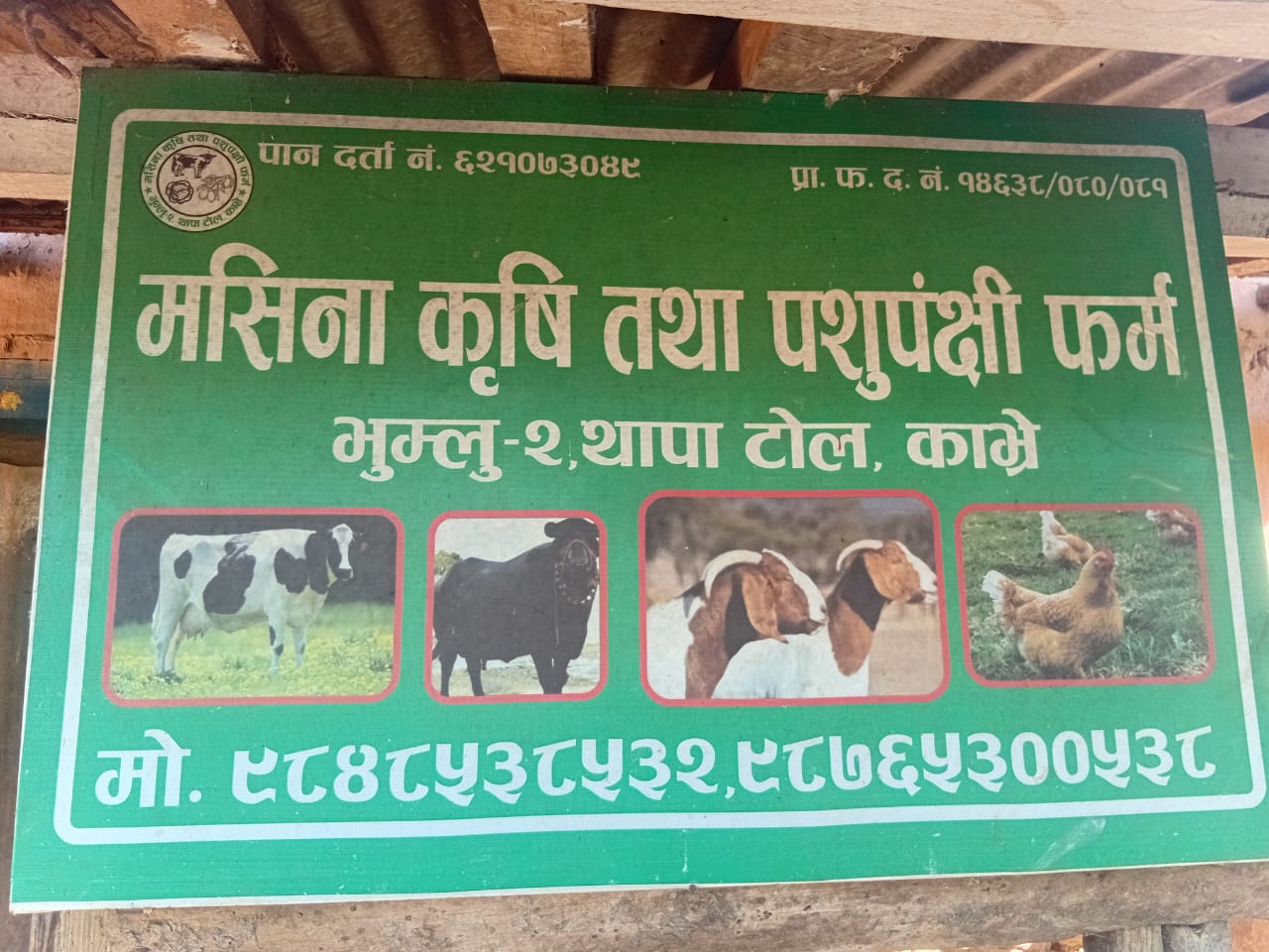 1000050029