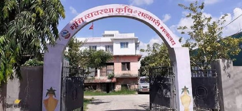 मधेस प्रदेशका स्थानीय तहमा युरिया र डीएपी मल वितरण