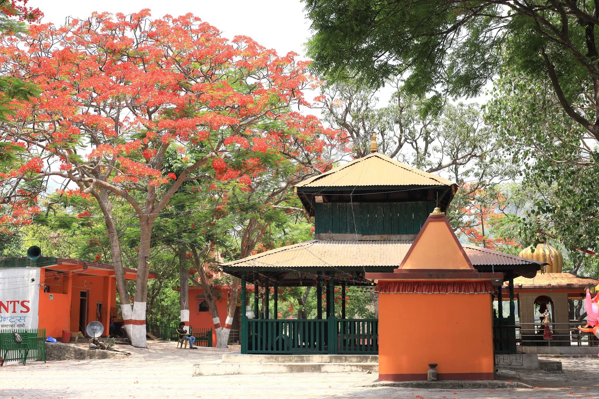 अव्यवस्थित बन्दै नुनथर महादेव मन्दिर