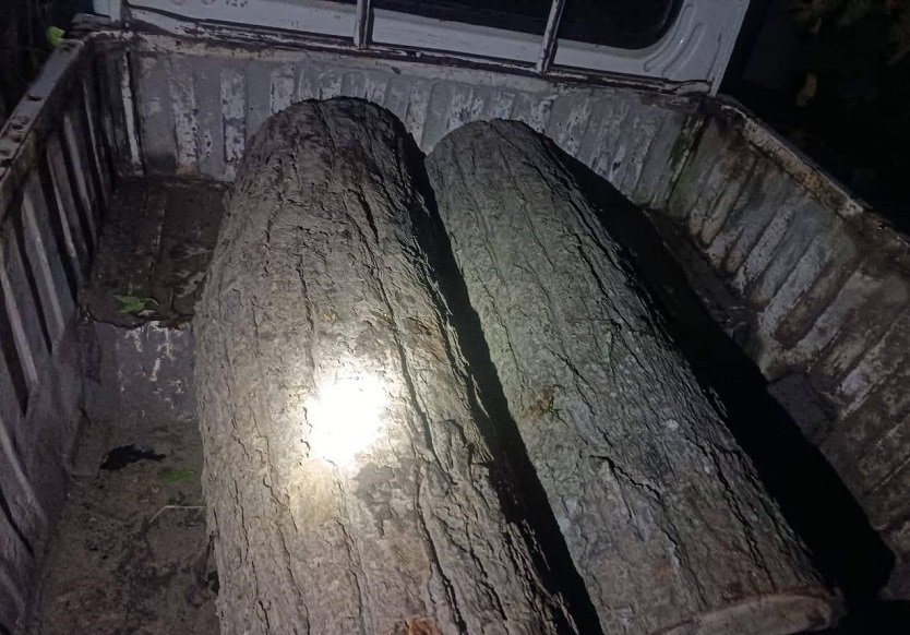   रौतहटमा अवैध काठ र गाडी बरामद