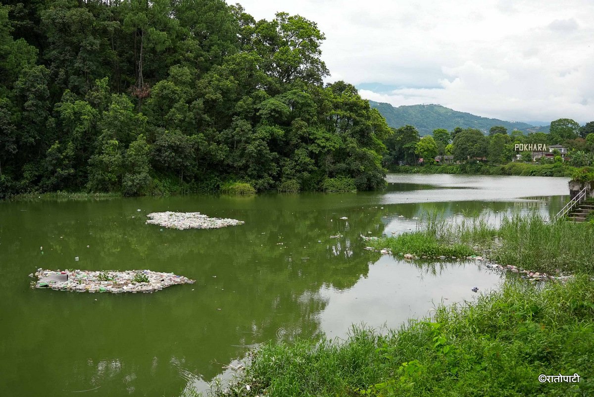 11-4 fewa lake fohor