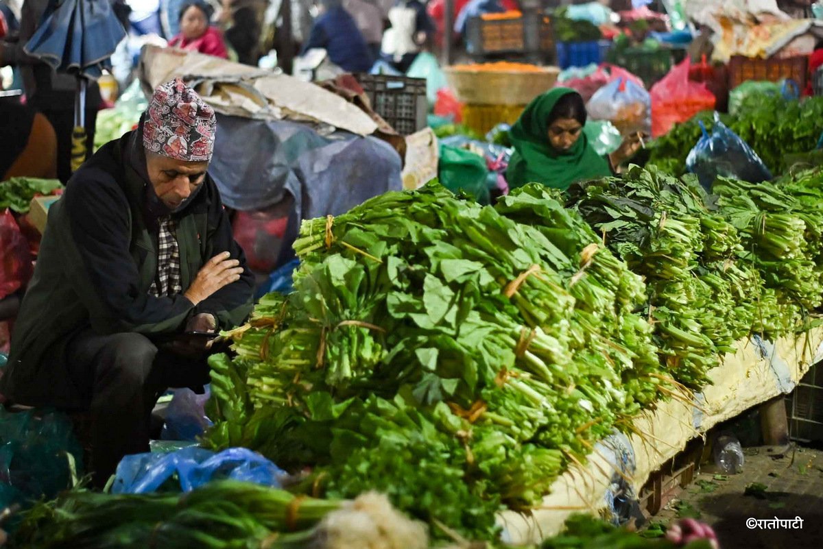 11-Kalimati Fruit and Vegetables Market_-513