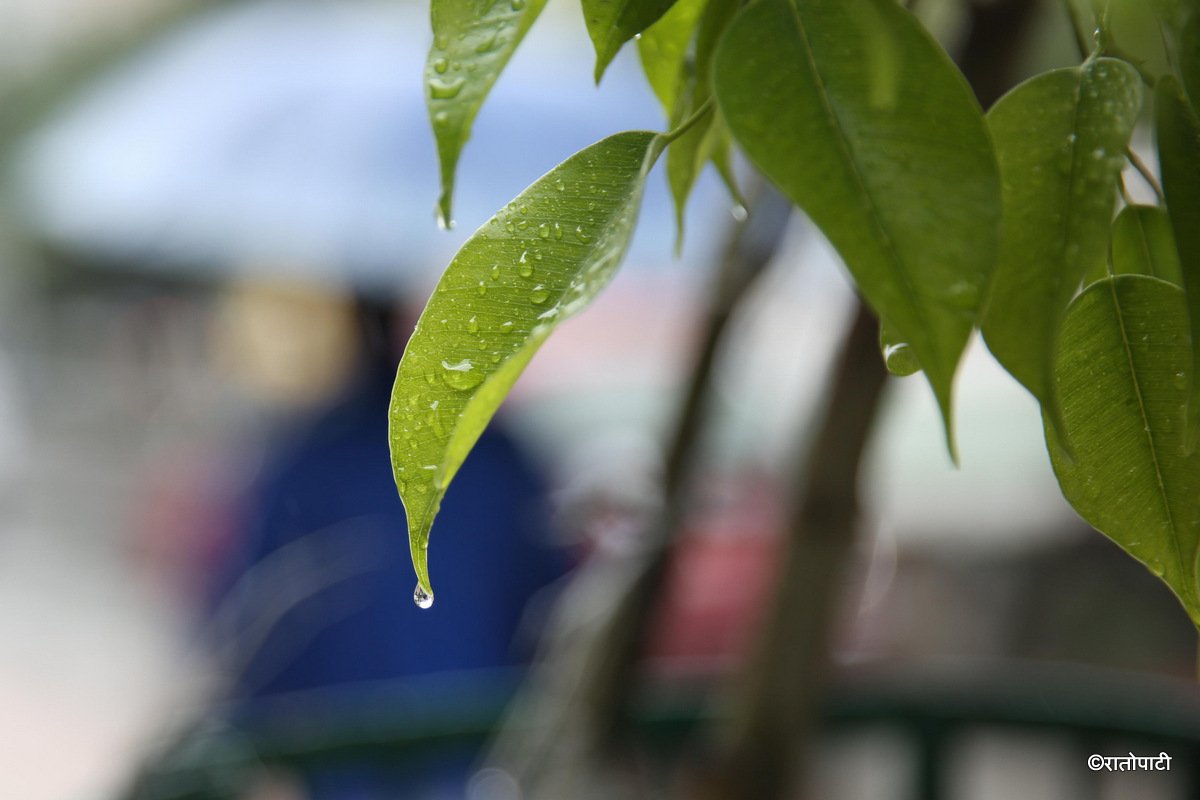 13-Rain_KTM_