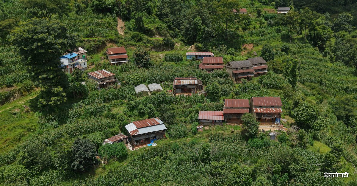   सहर मोहले रित्तिएको काठ क्षेत्र (तस्बिरहरू)