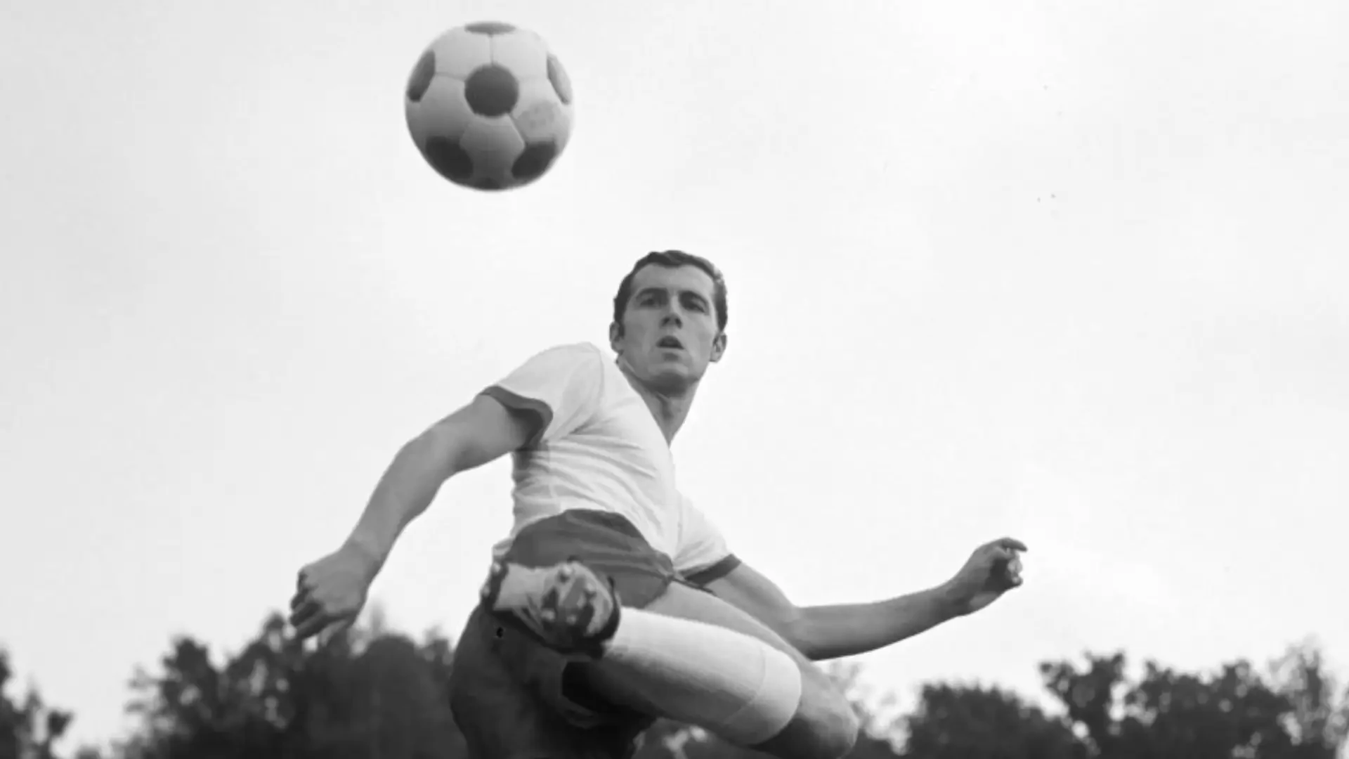 1500x500.jpg