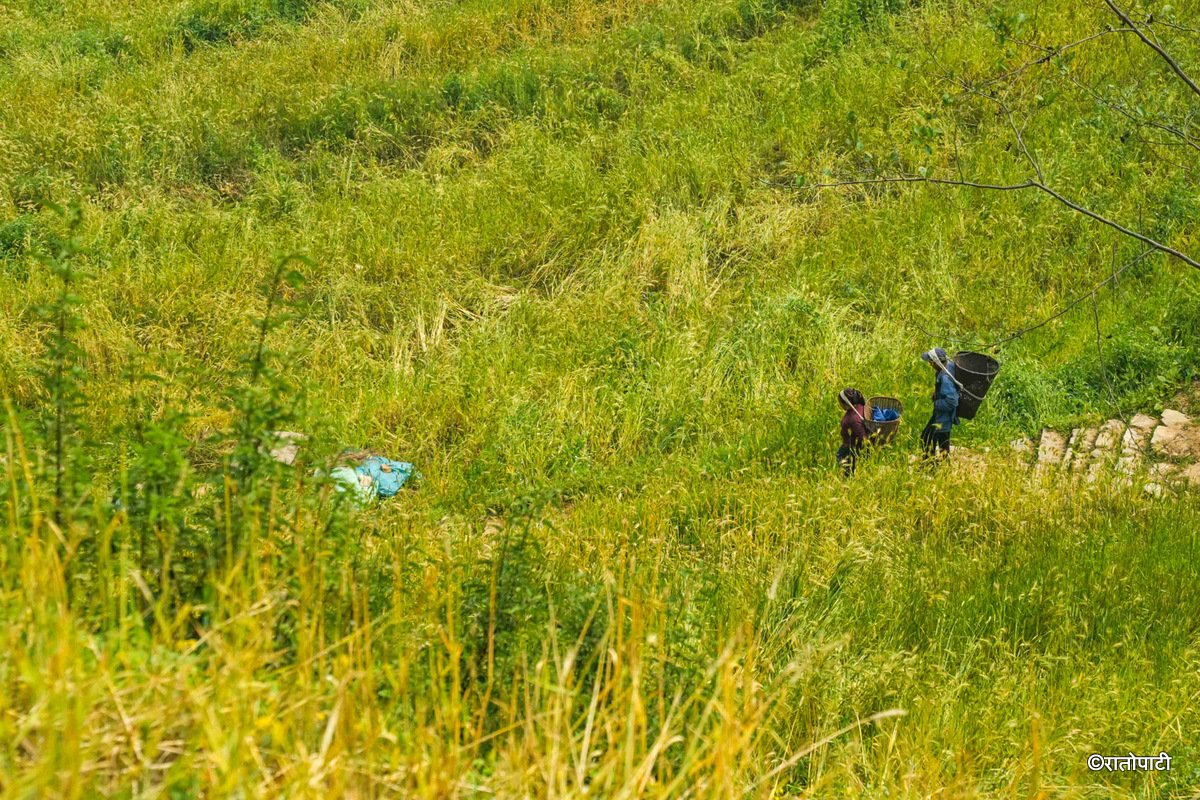 16-Singla_Gorkha_DSC08690