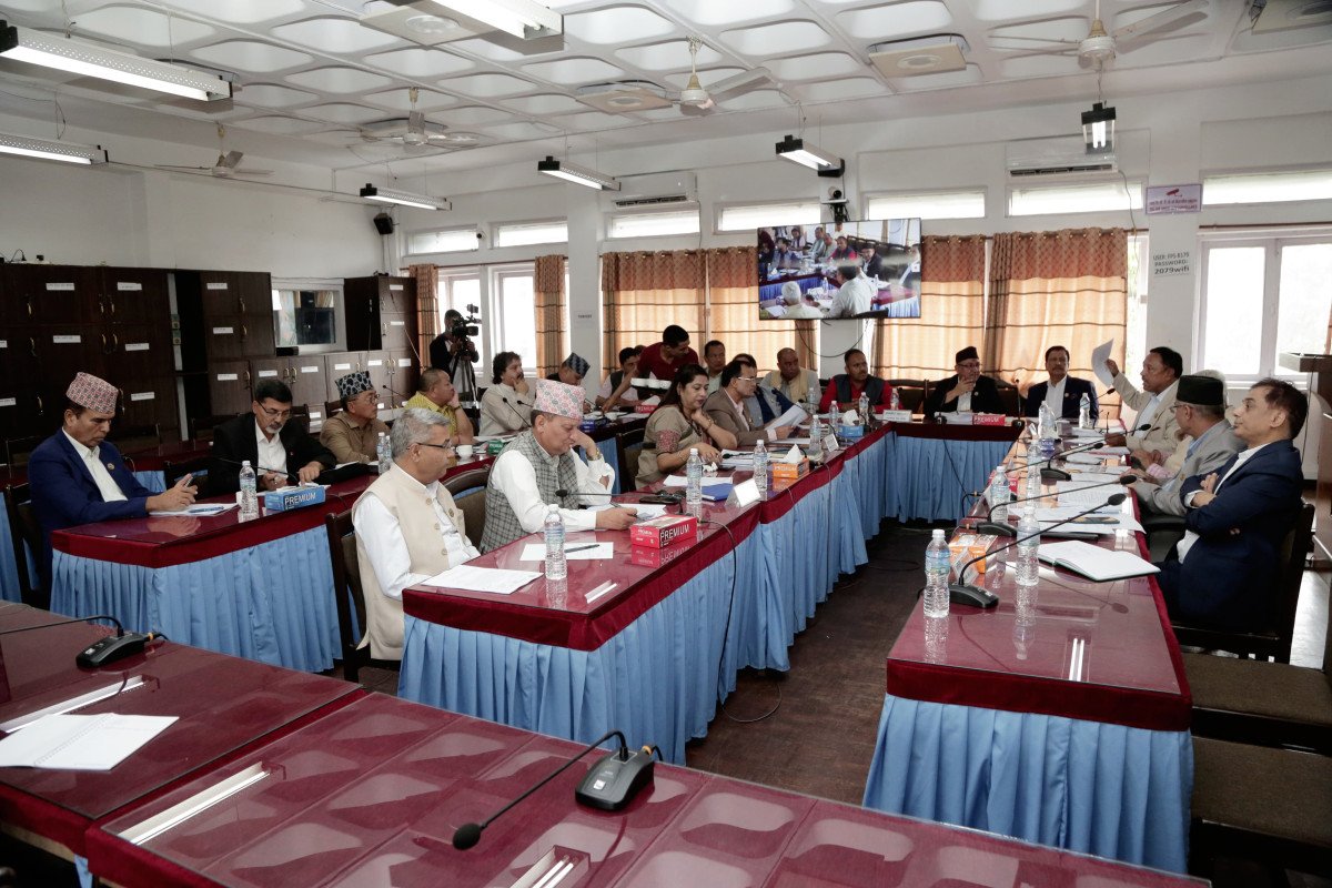   सार्वजनिक लेखा समितिको वार्षिक प्रतिवेदन पारित
