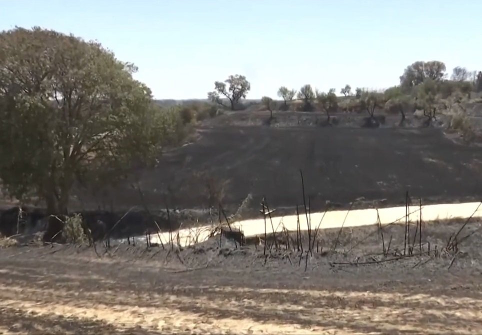 Spain Battles Wildfires After First Summer Heatwave