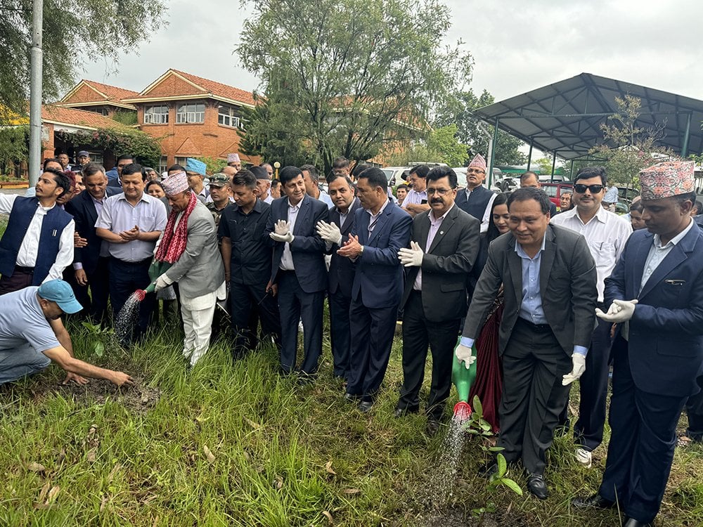 विद्युत् प्राधिकरणका देशभरका कार्यालयद्वारा वृक्षारोपण