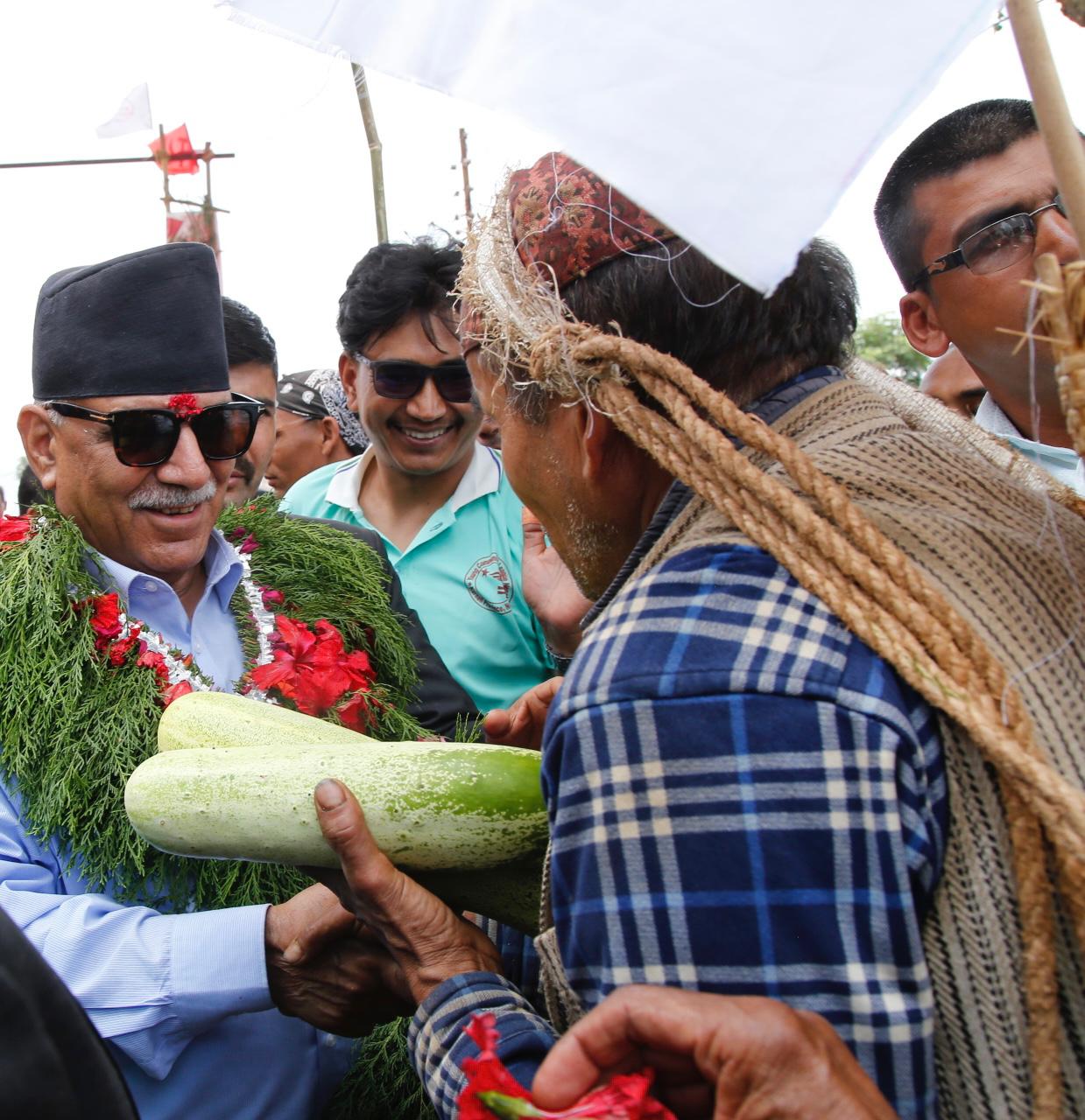 प्रचण्डलाई किसानले दिए काँक्रो उपहार