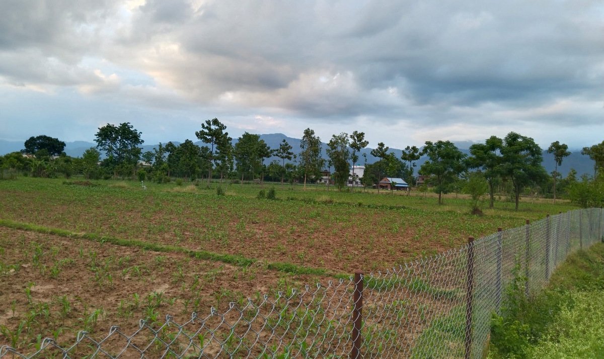 3-land2