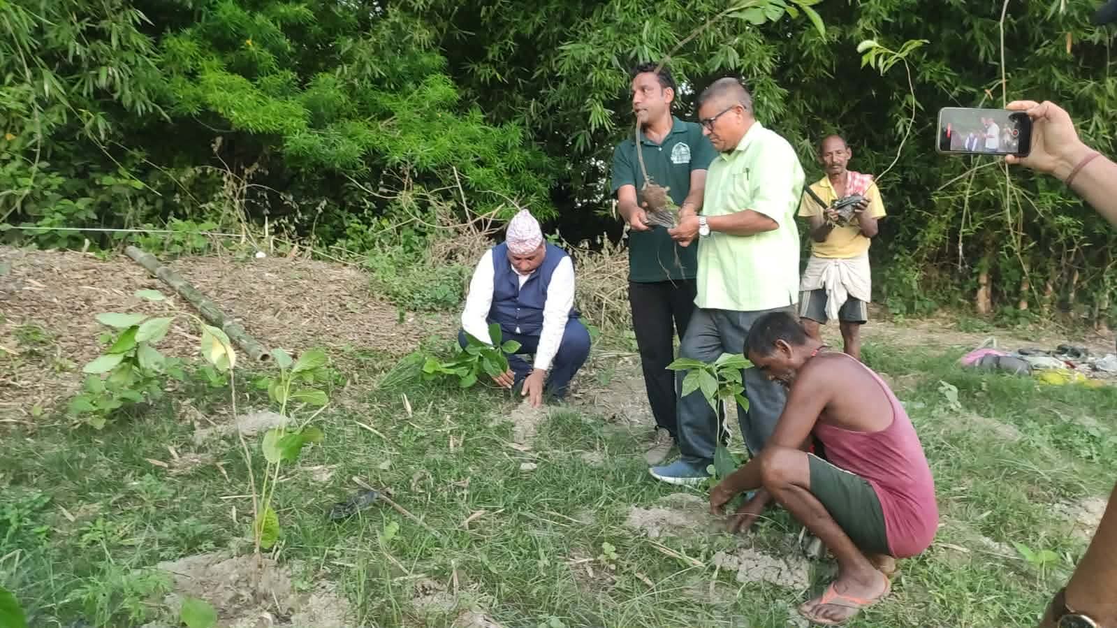 विराटनगरमा नदी संरक्षणसँगै ‘मिनी जङ्गल’ निर्माण अभियान सुरु