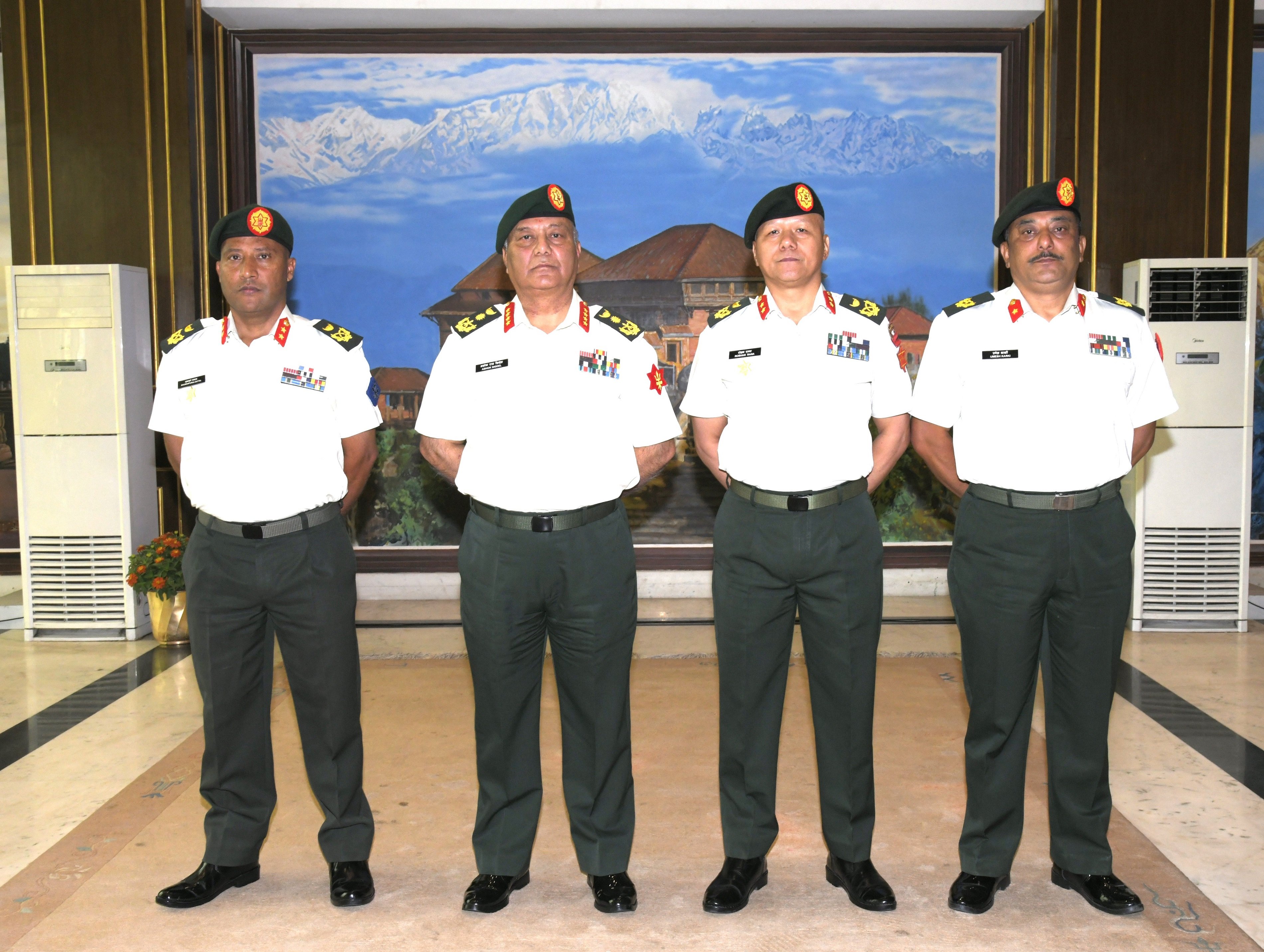 Army Chief Decorates Promoted Officers