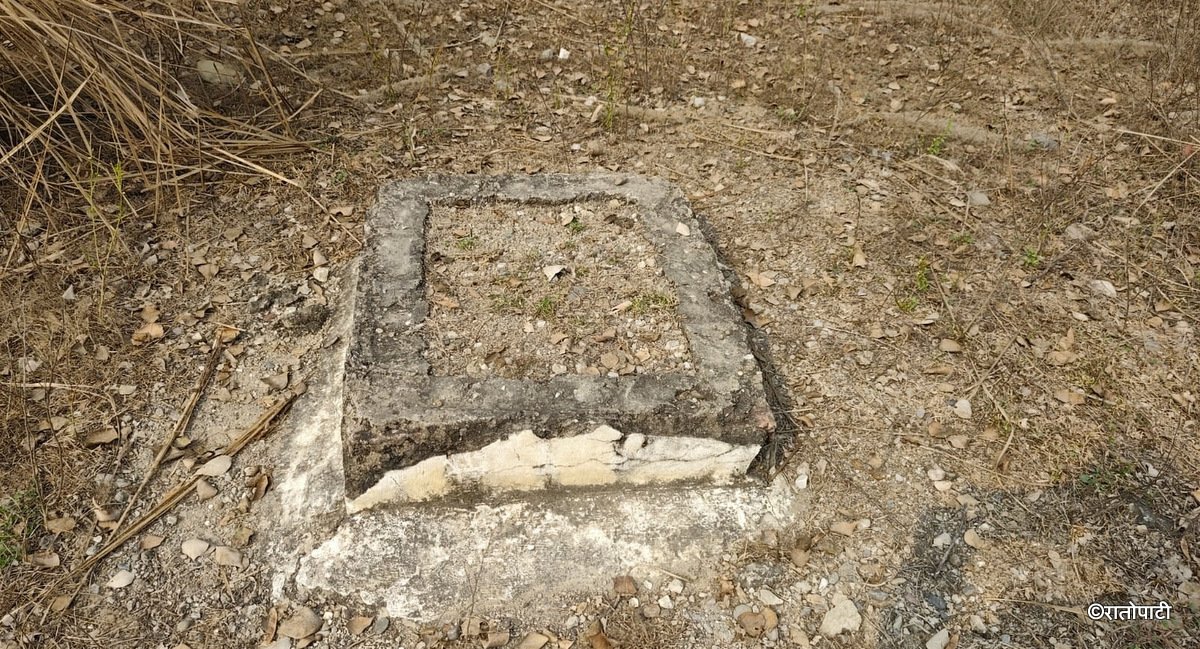 5-Pic