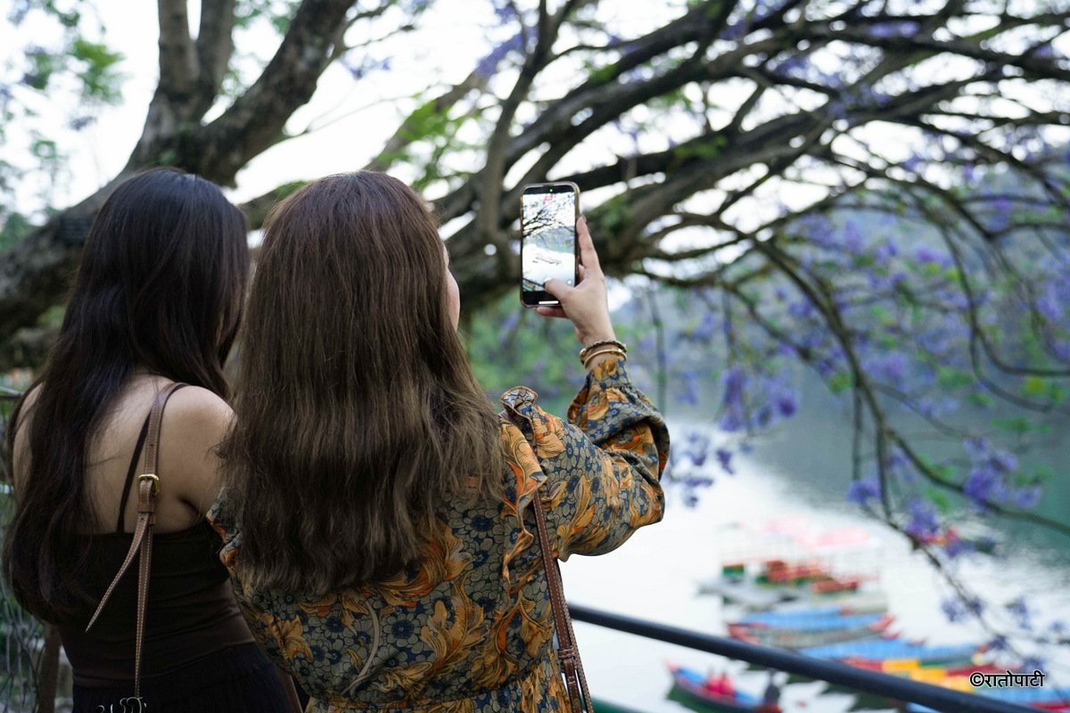 5-Pokhara-Jacaranda--122