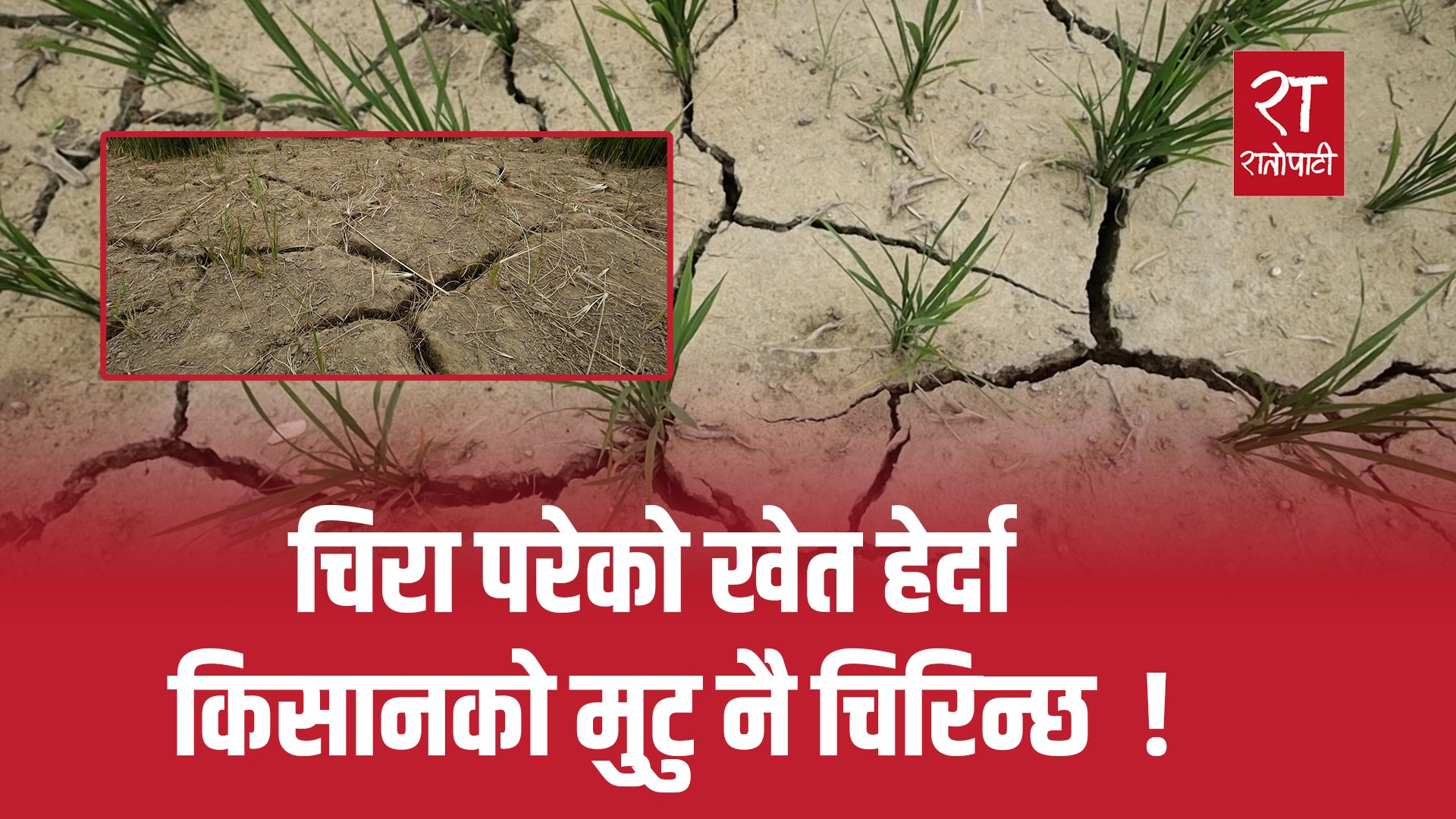   ग्राउण्ड जिरो रिर्पोटिङ : पानीको अभावमा छट्पटाइरहेको मधेस