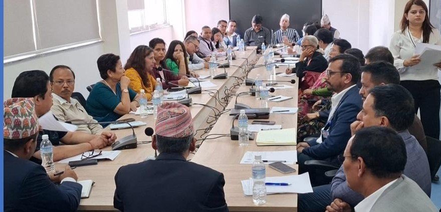   नर्सका समस्या समाधानका लागि १४ सदस्यीय उच्चस्तरीय समिति गठन, सात दिनभित्र प्रतिवेदन पेस गरिने