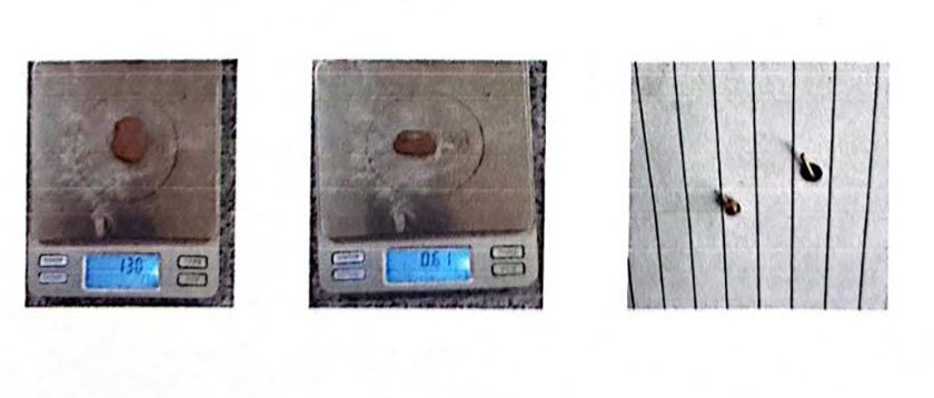 झापामा नक्कली प्रहरी बनेर लुटपाट गर्ने दुई जना लागुऔषधसहित पक्राउ