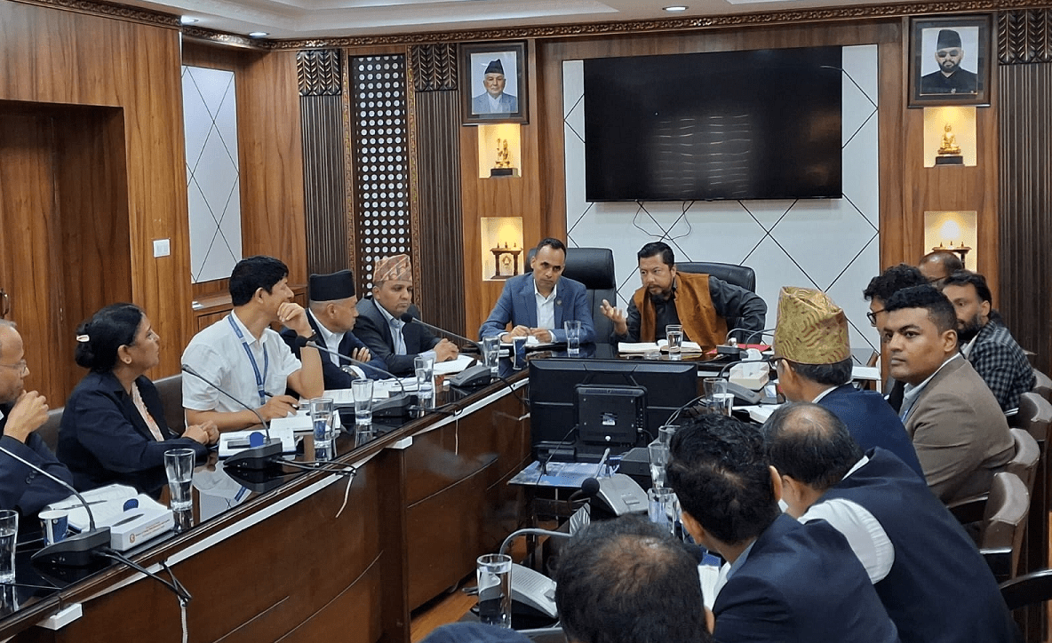 Government Directs Management of Tangled Wires in Kathmandu Valley by Mid-July