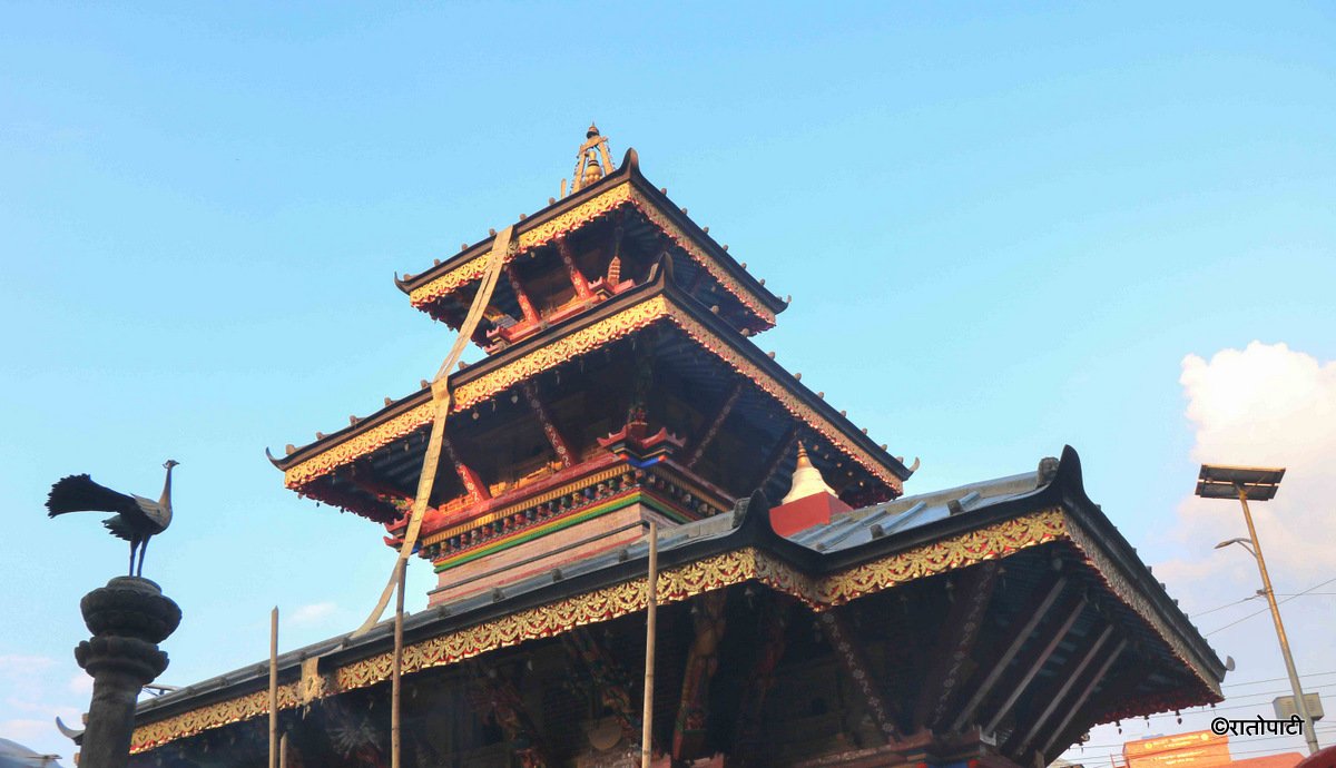 9-Pashupati_NPL_9